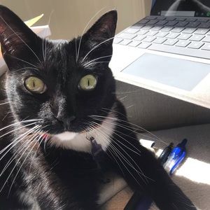 Meet your Posher, Karoline